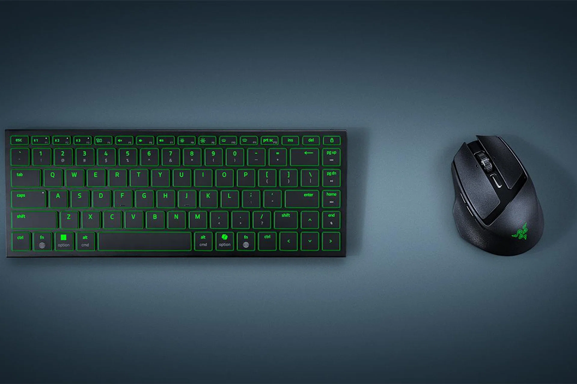 The Joro and Basilisk Mobile aren't just for sitting at a desk. Photo: Razer.