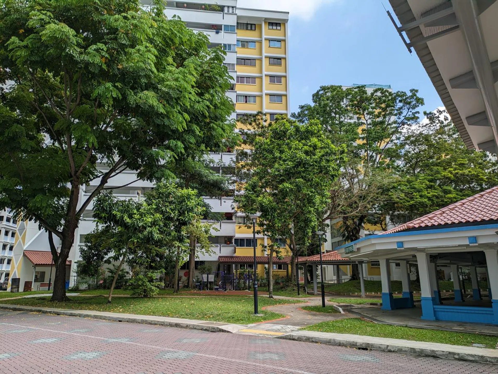 From Pixel 7a's 64MP main camera, late morning.