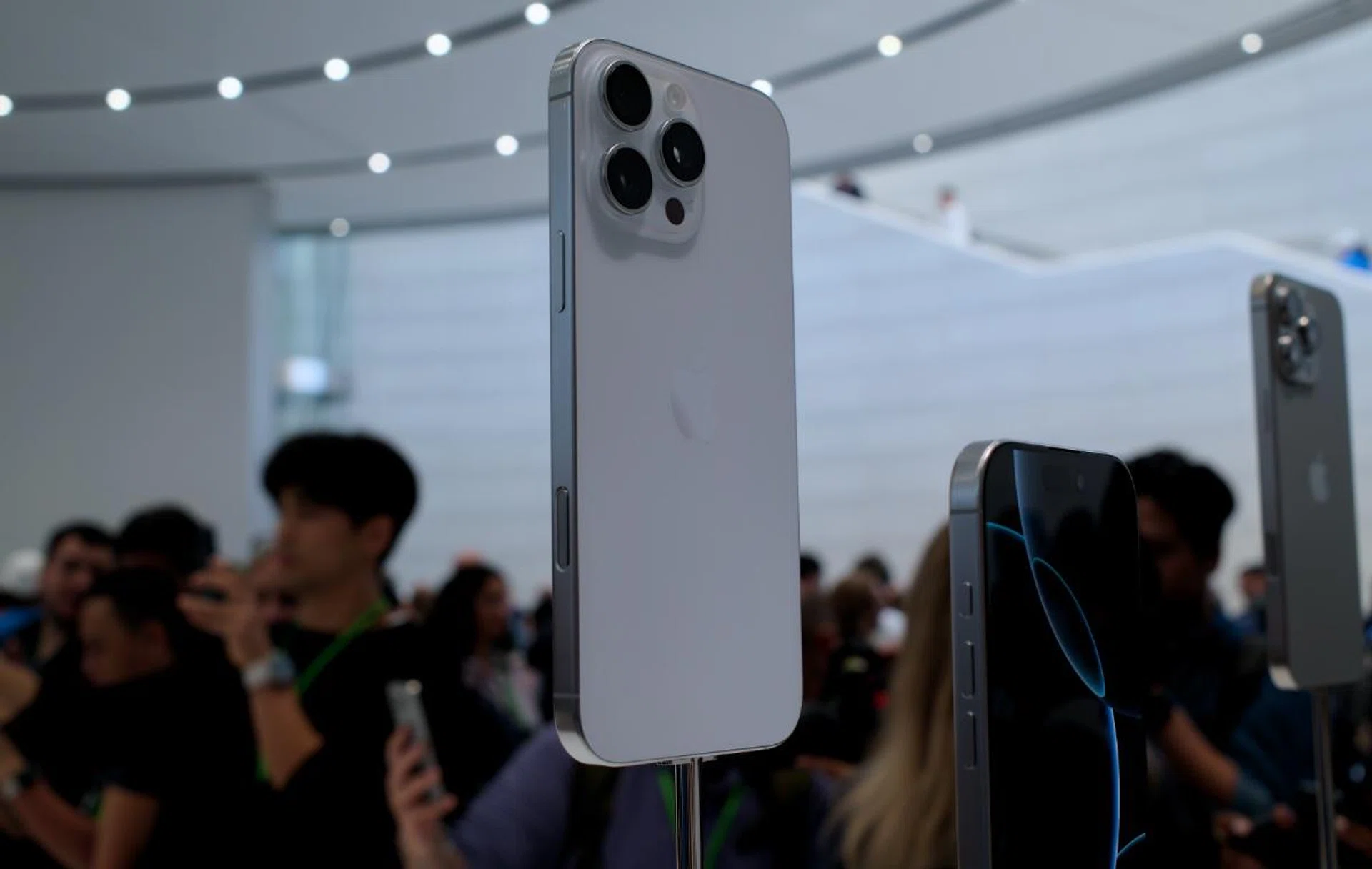 White titanium. Photo: HWZ