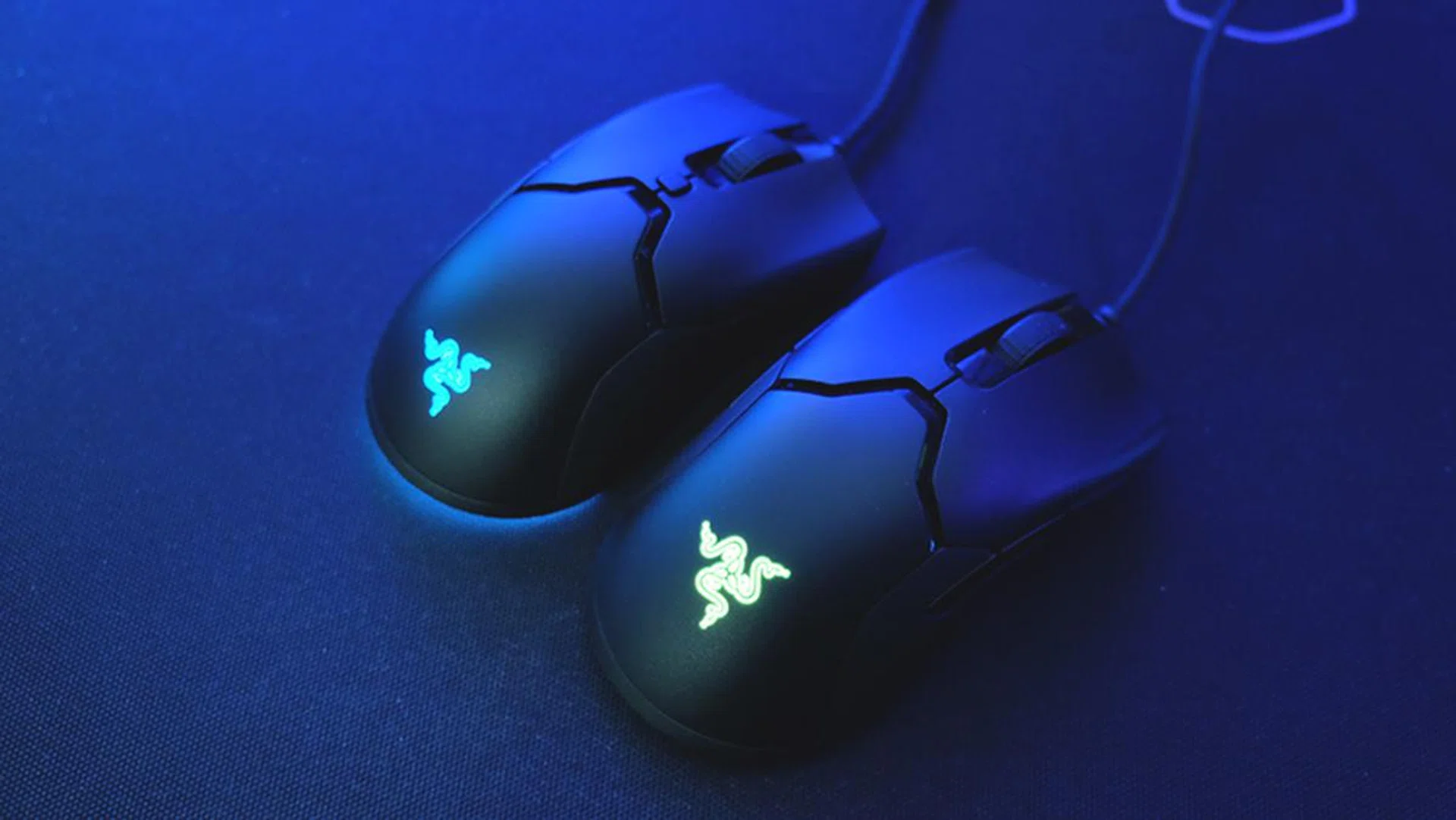 Razer Viper Mini vs Viper