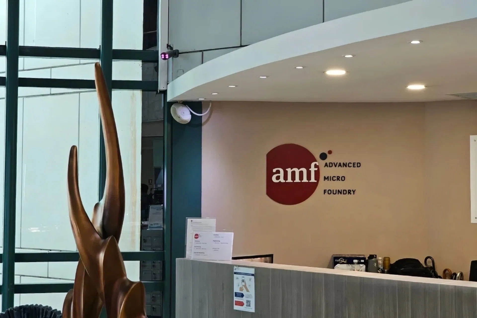 Advanced Micro Foundry