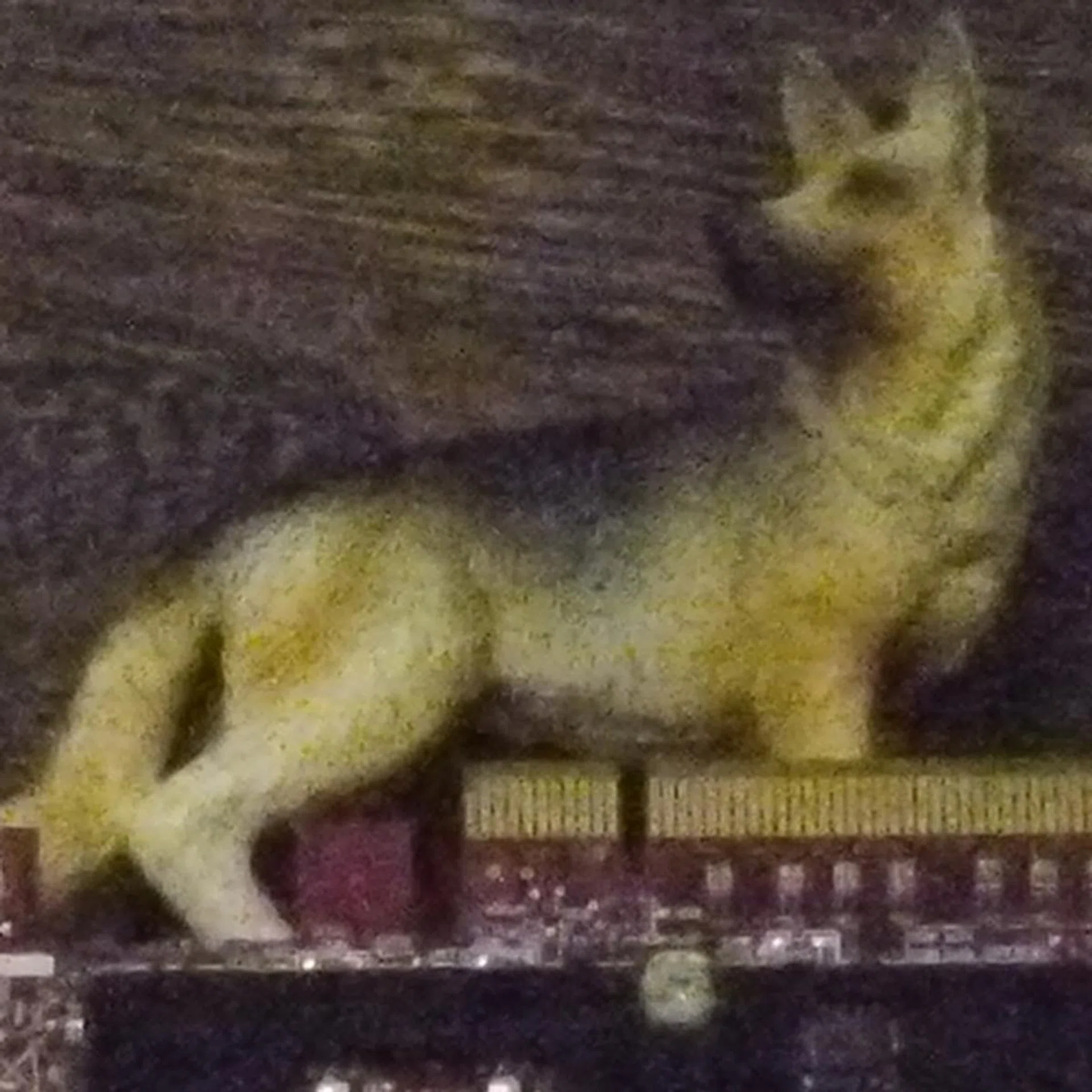 ISO12800, 100% crop. Click for full resolution image.