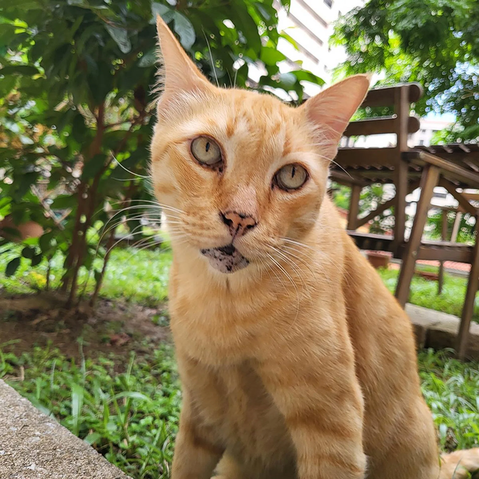 Selfie taken via Cover Screen preview.