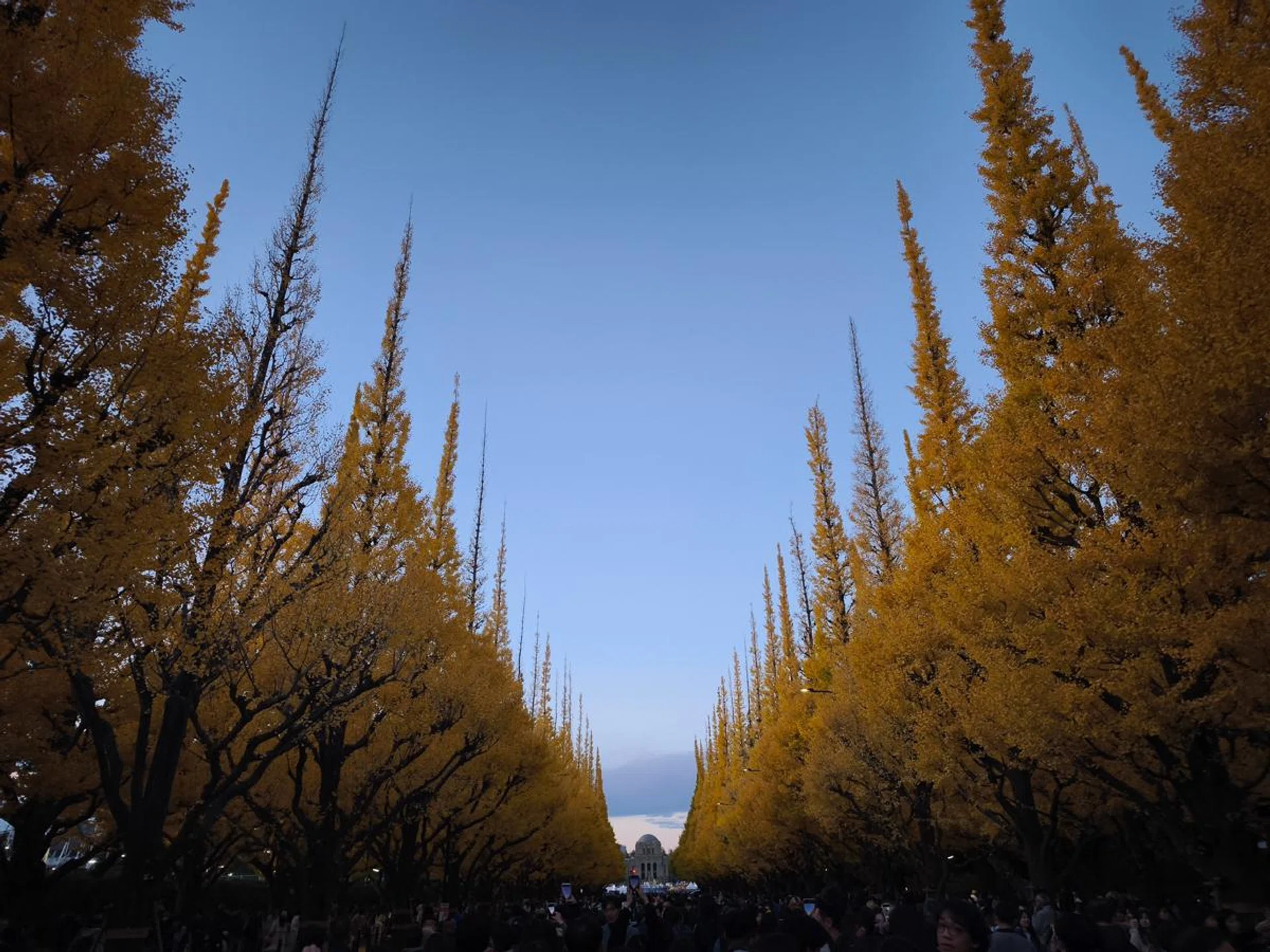 Main camera. Photo: HWZ.