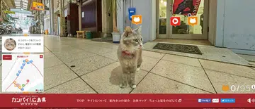 If you guessed that Cat Street View is Street View from a cat's perspective, you're right on the money.