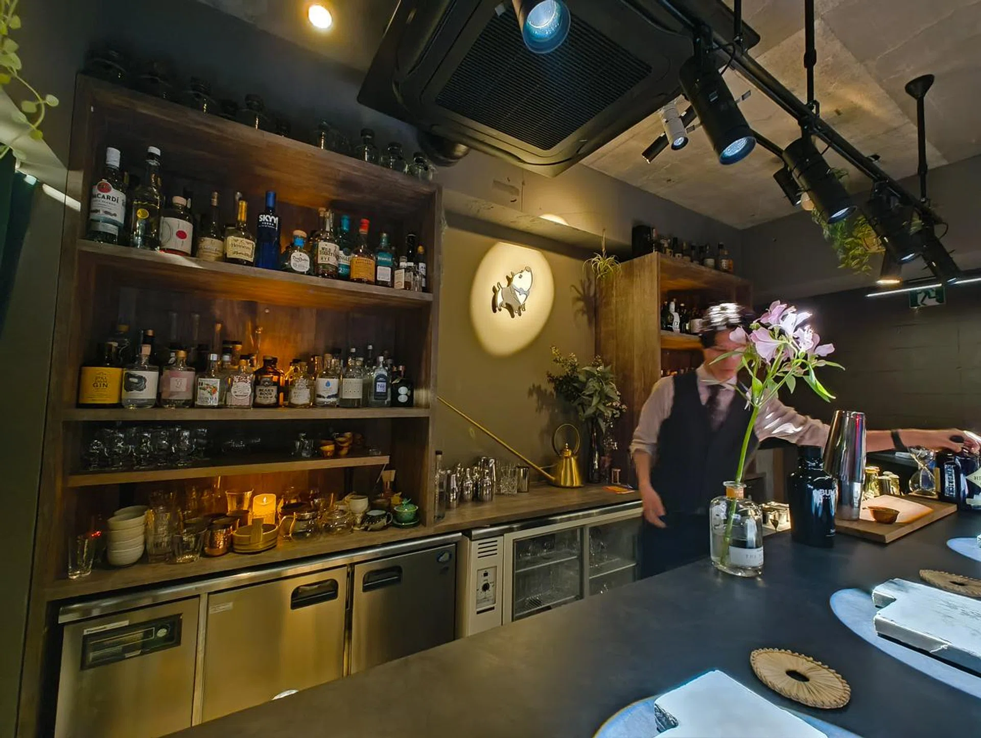 Ultra-wide camera (low light shot).