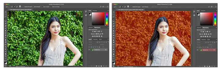 The select subject feature is now available!