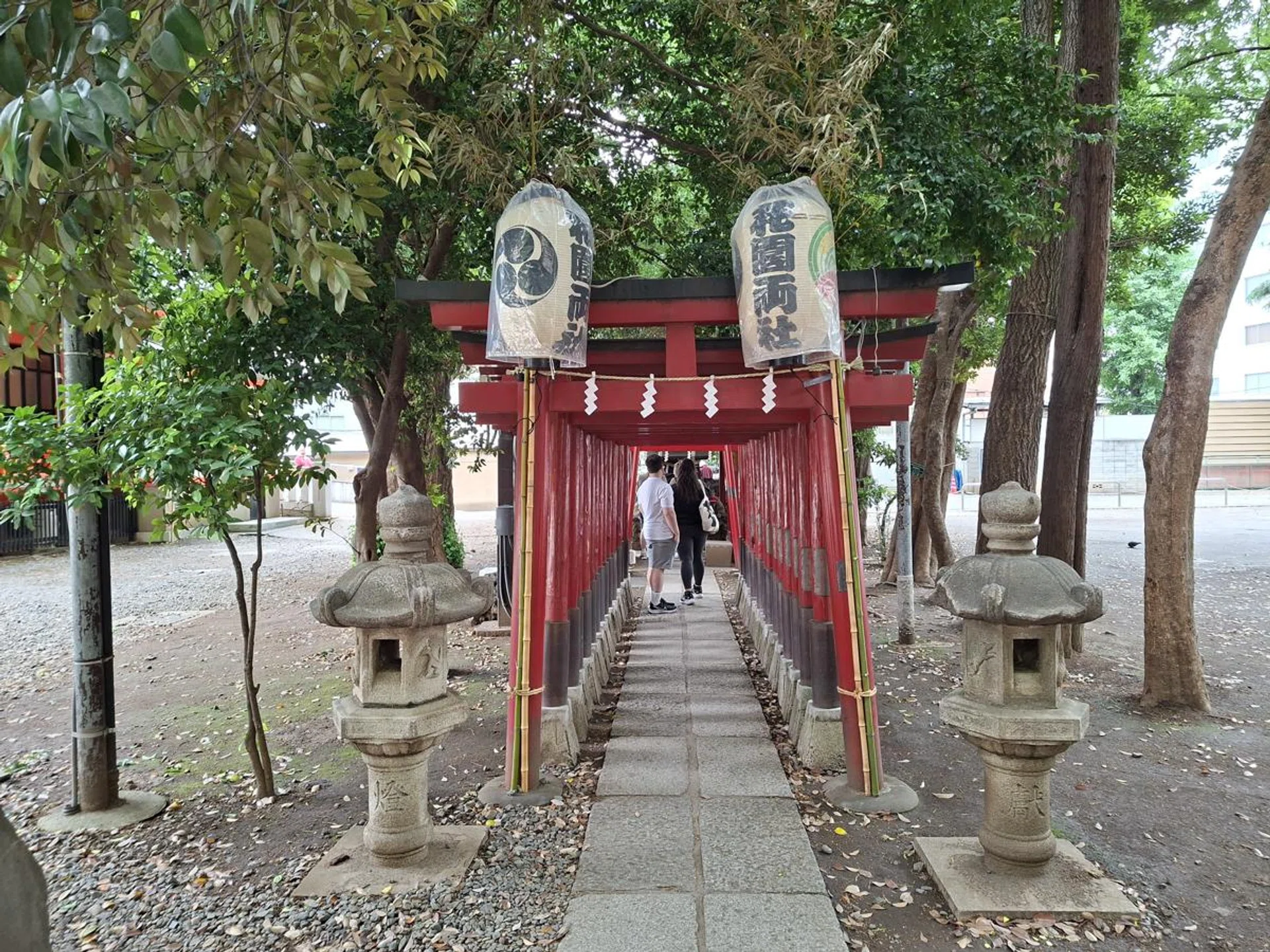 Main camera. Photo: HWZ.