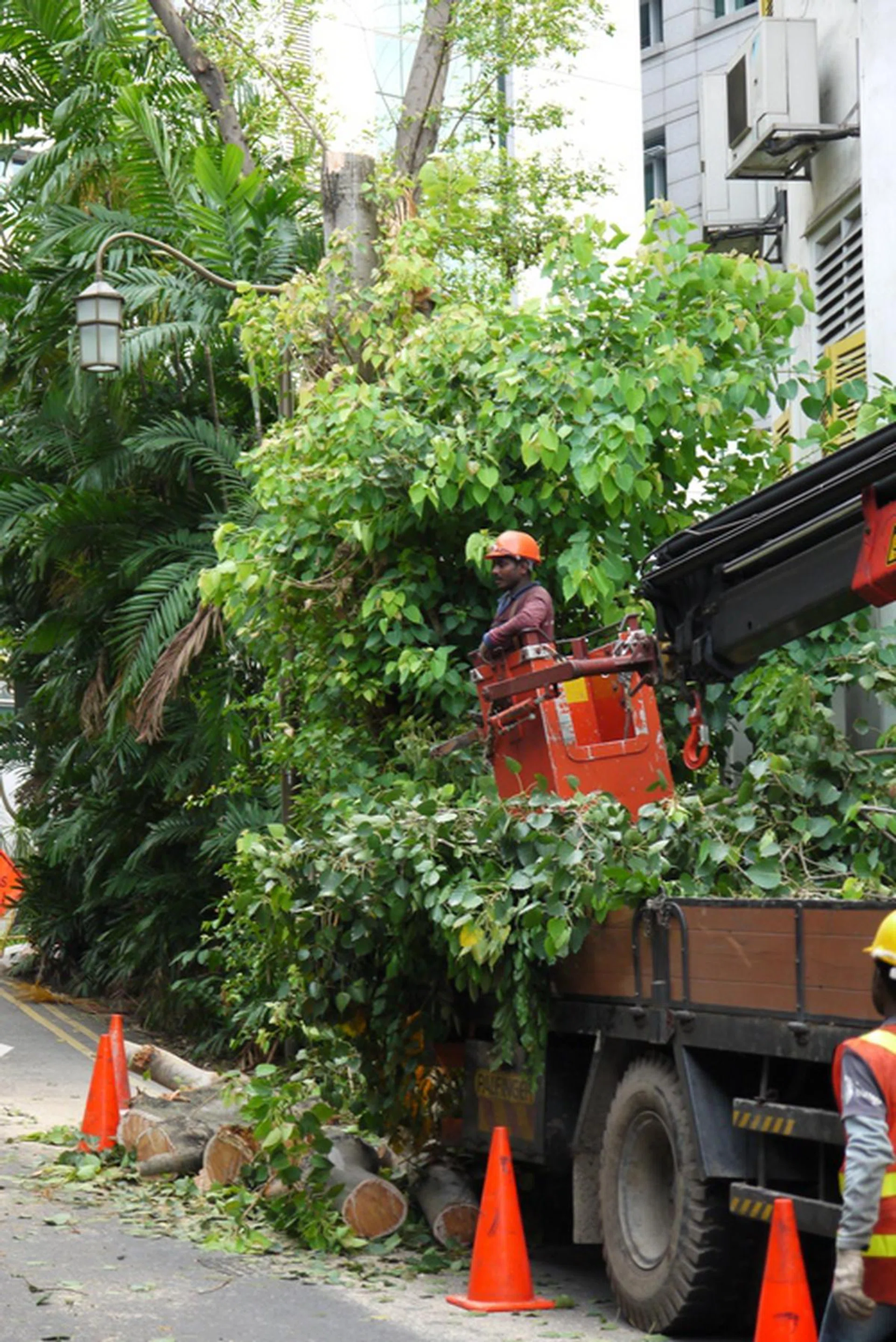 Shot at f5.6, 1/60 sec, 87mm, ISO400.