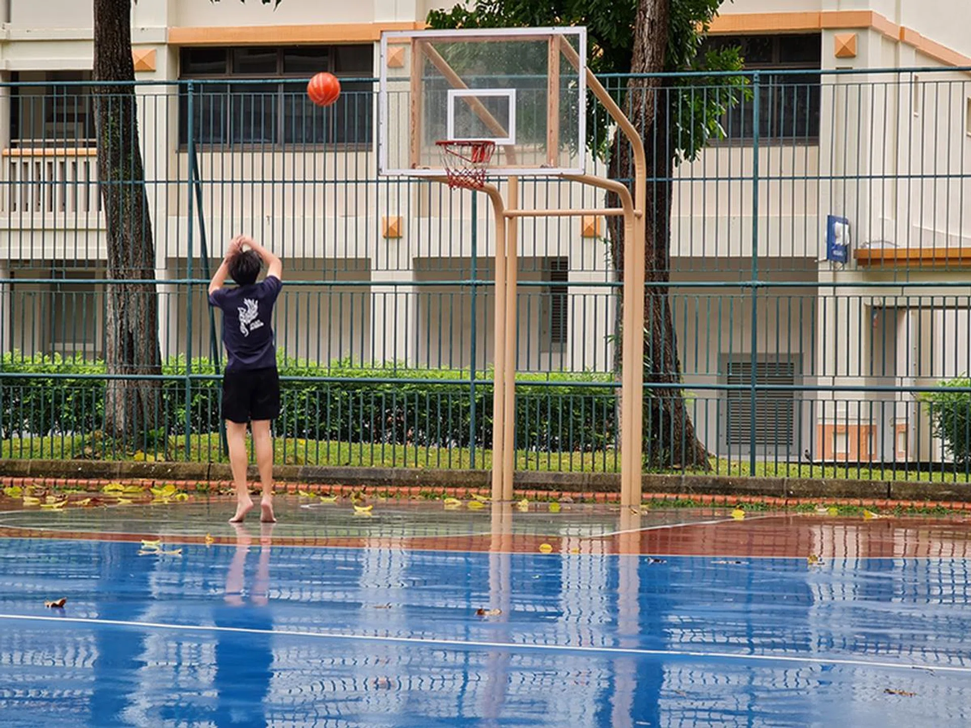 5x Optical Zoom (option selected from camera interface).