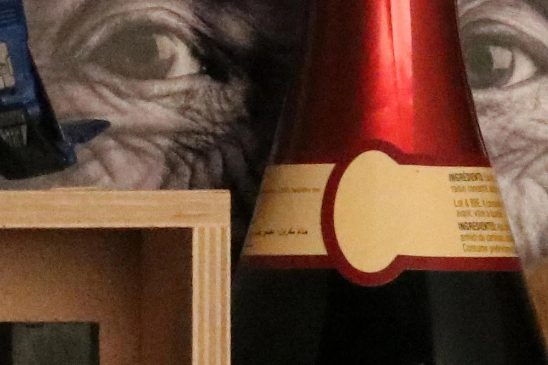 100% crop (EOS 80D at ISO 6400)