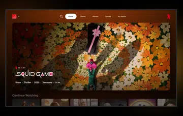 The Netflix user interface.