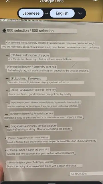 Some odd translations here and there.