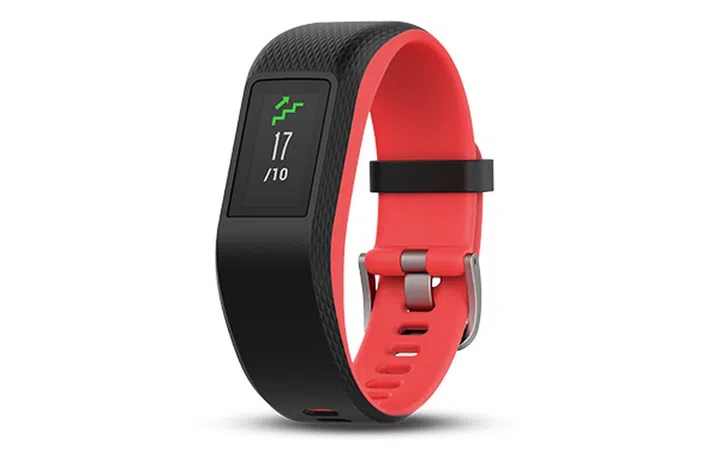 (Image source: Garmin)