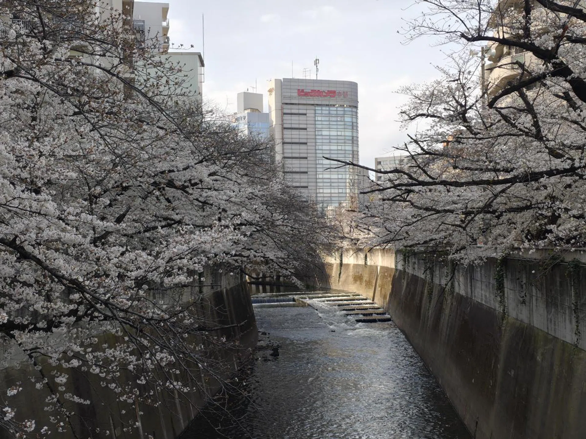 2x digital zoom. Photo: HWZ.