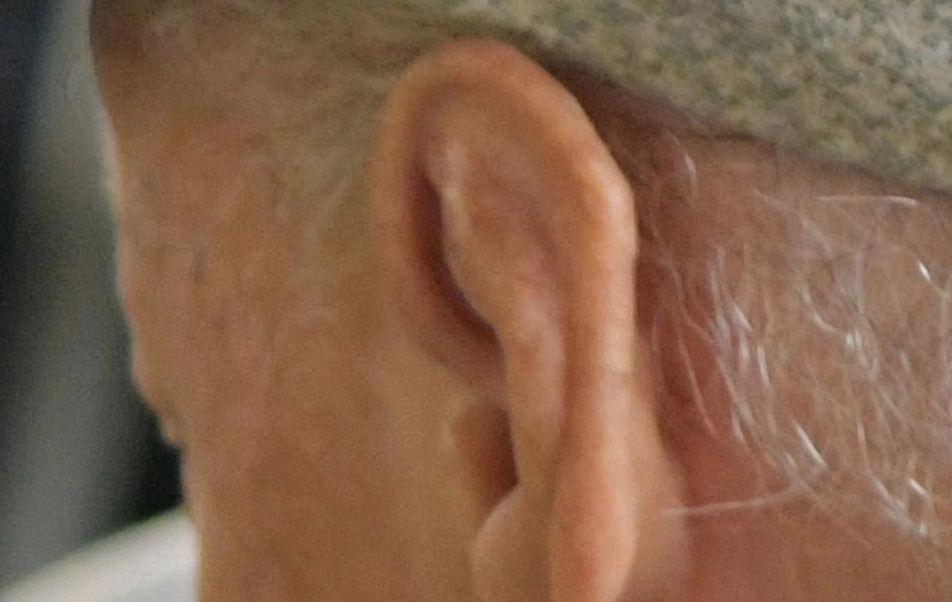 100% crop (D850)