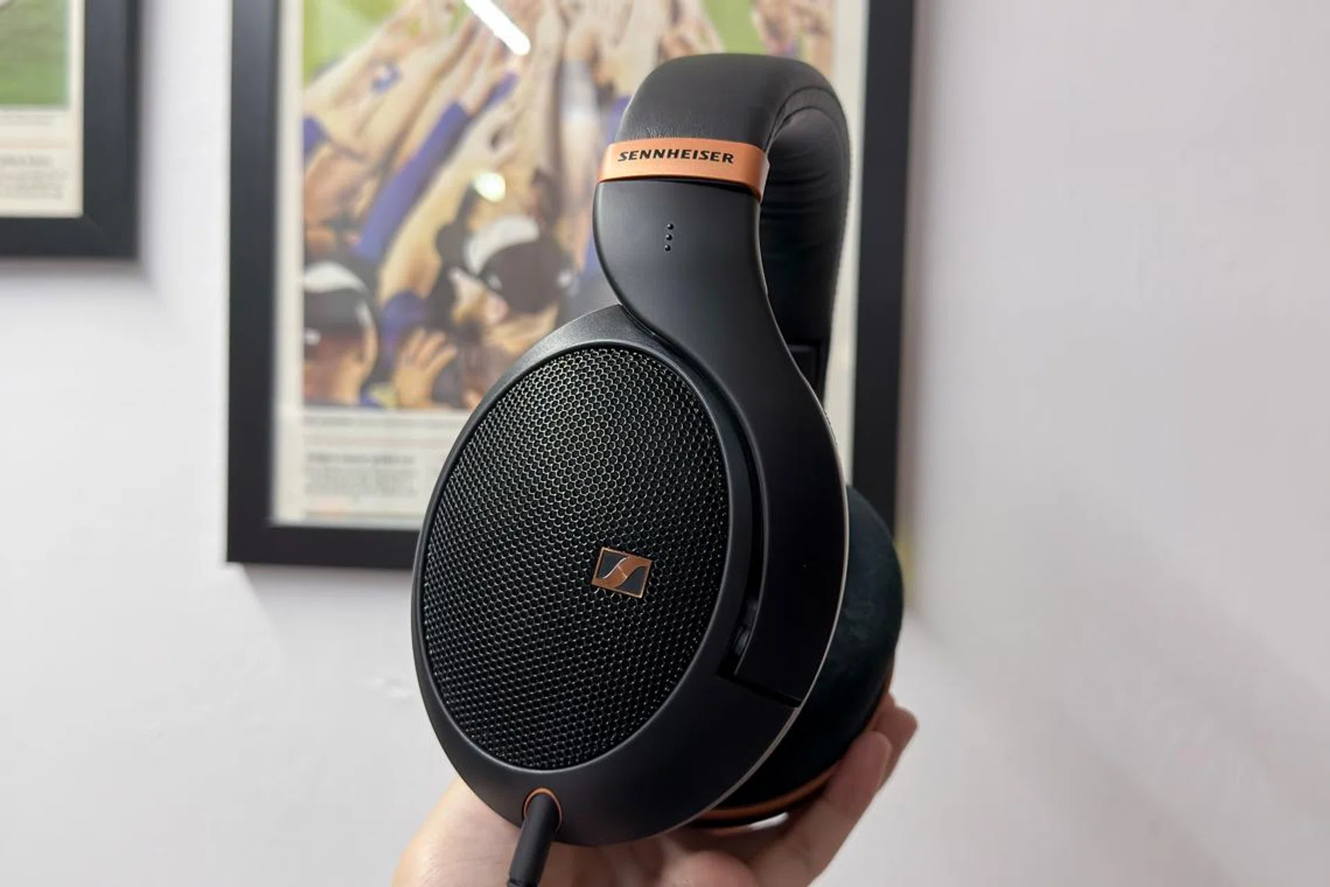 Sennheiser HD 505 Copper Edition. Photo: HWZ.