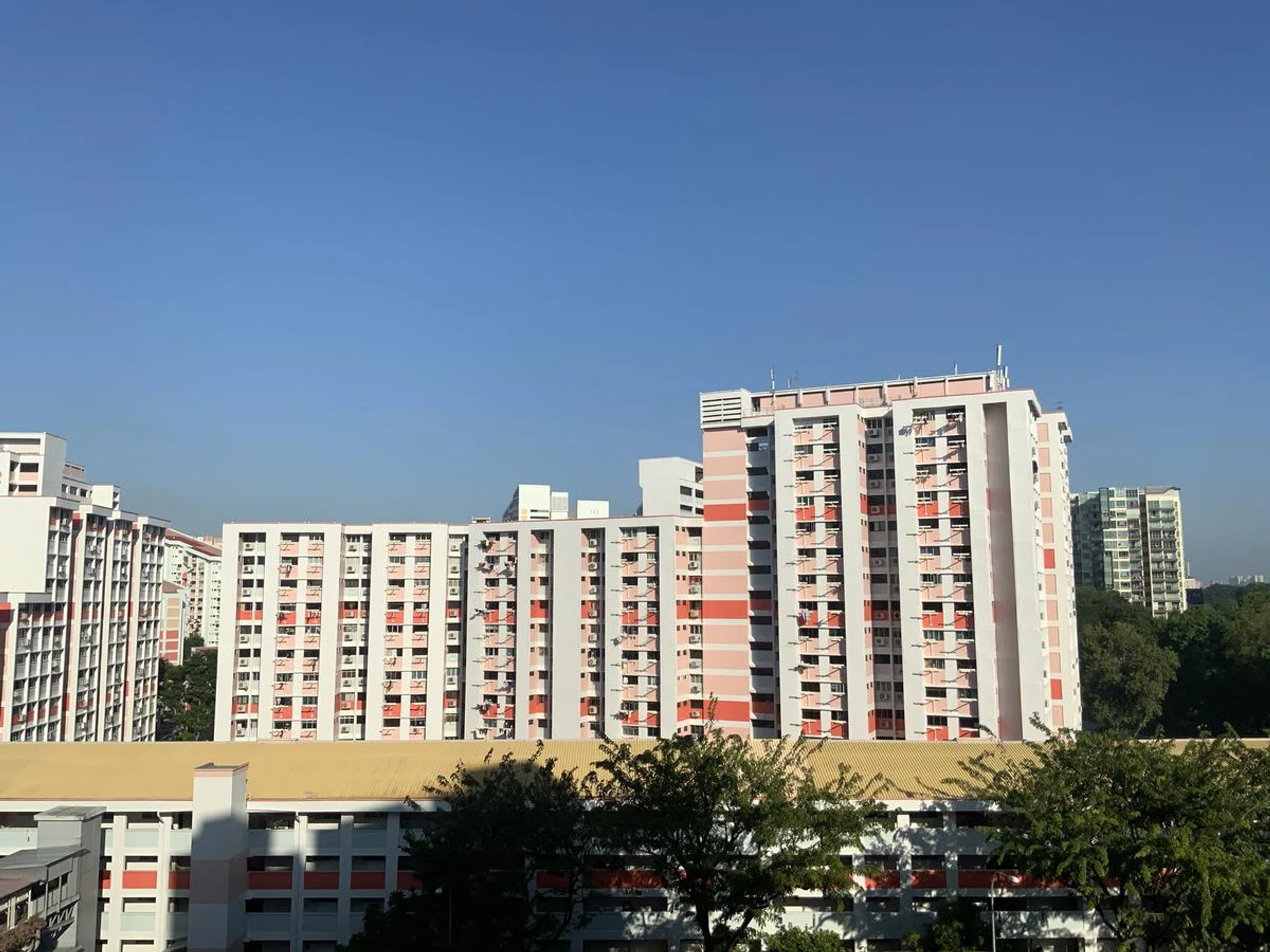 Shot on with wide camera. Click to see the original image.