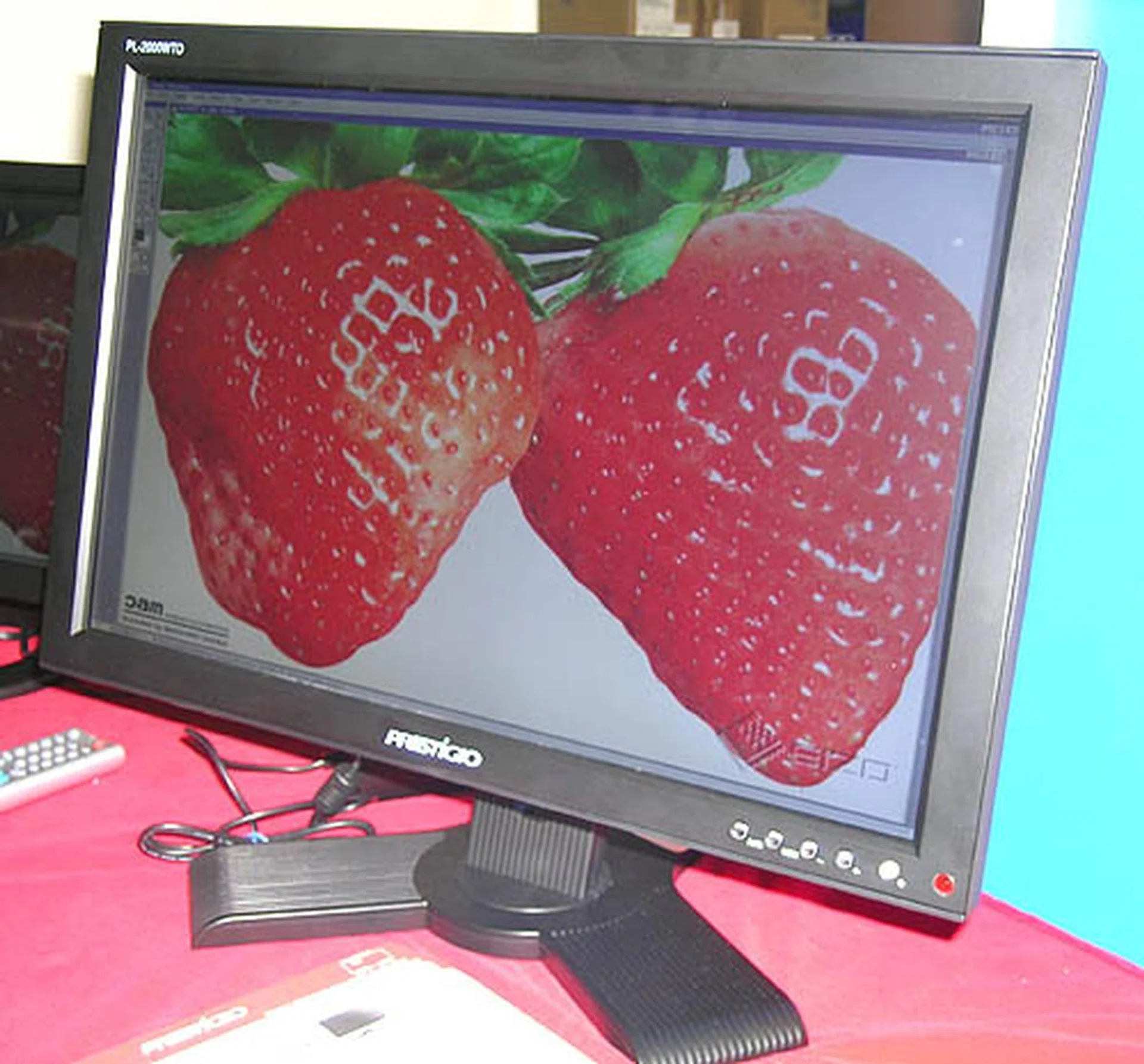 Local brand Prestigio had many products on display, from notebooks to monitors and in this case, even a LCD TV. This 20-inch widescreen LCD TV goes for $599 while the 17-inch model costs $419.