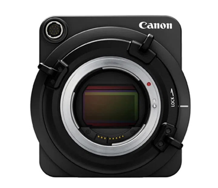 The lower resolution count of the sensor allows it to have a much larger pixel pitch than any DSLR available at present.