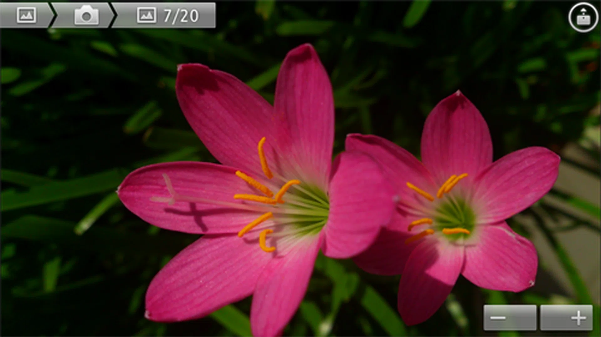 Once your devices are paired up and connected, you can simply tap on the icon at the upper right hand corner to share your pictures or videos to any of the devices.