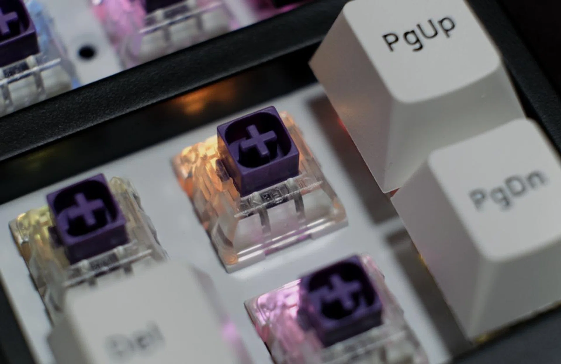 If you love heavy tactile switches, you'll adore the Novelkeys Box Royal switch.