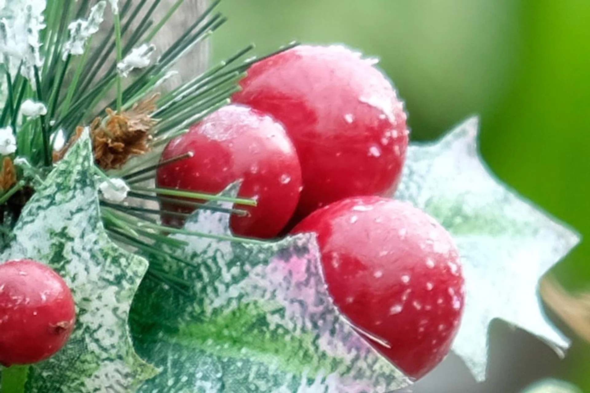 100% crop of the previous image. An example of the color smearing and halos you sometimes get at edges.