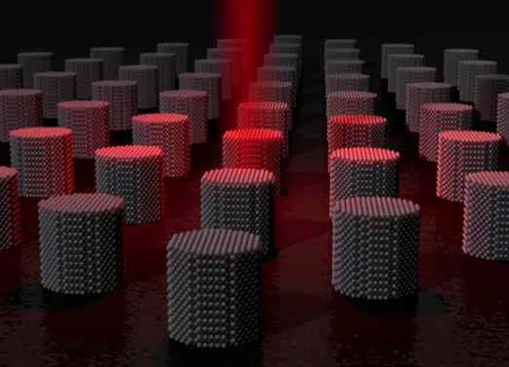 (Img Source: Richard Evans, University of York)