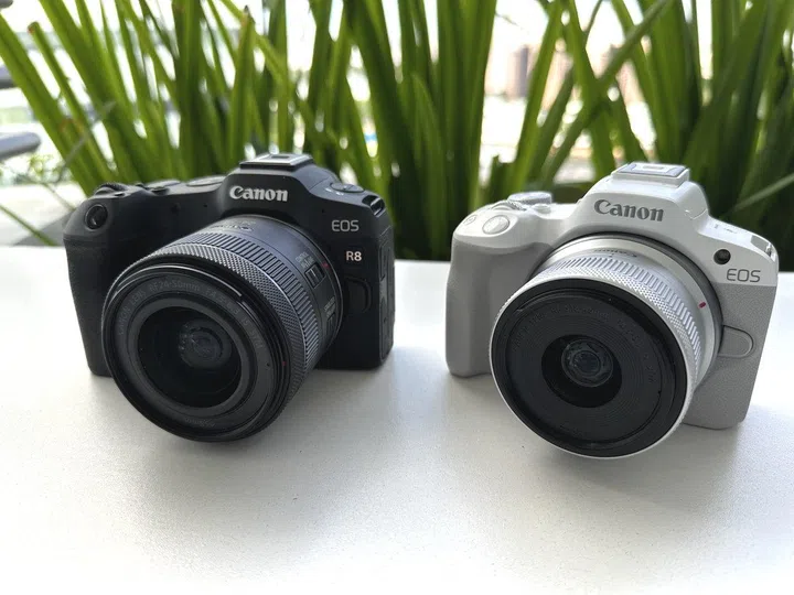 (Click to view a larger image.)