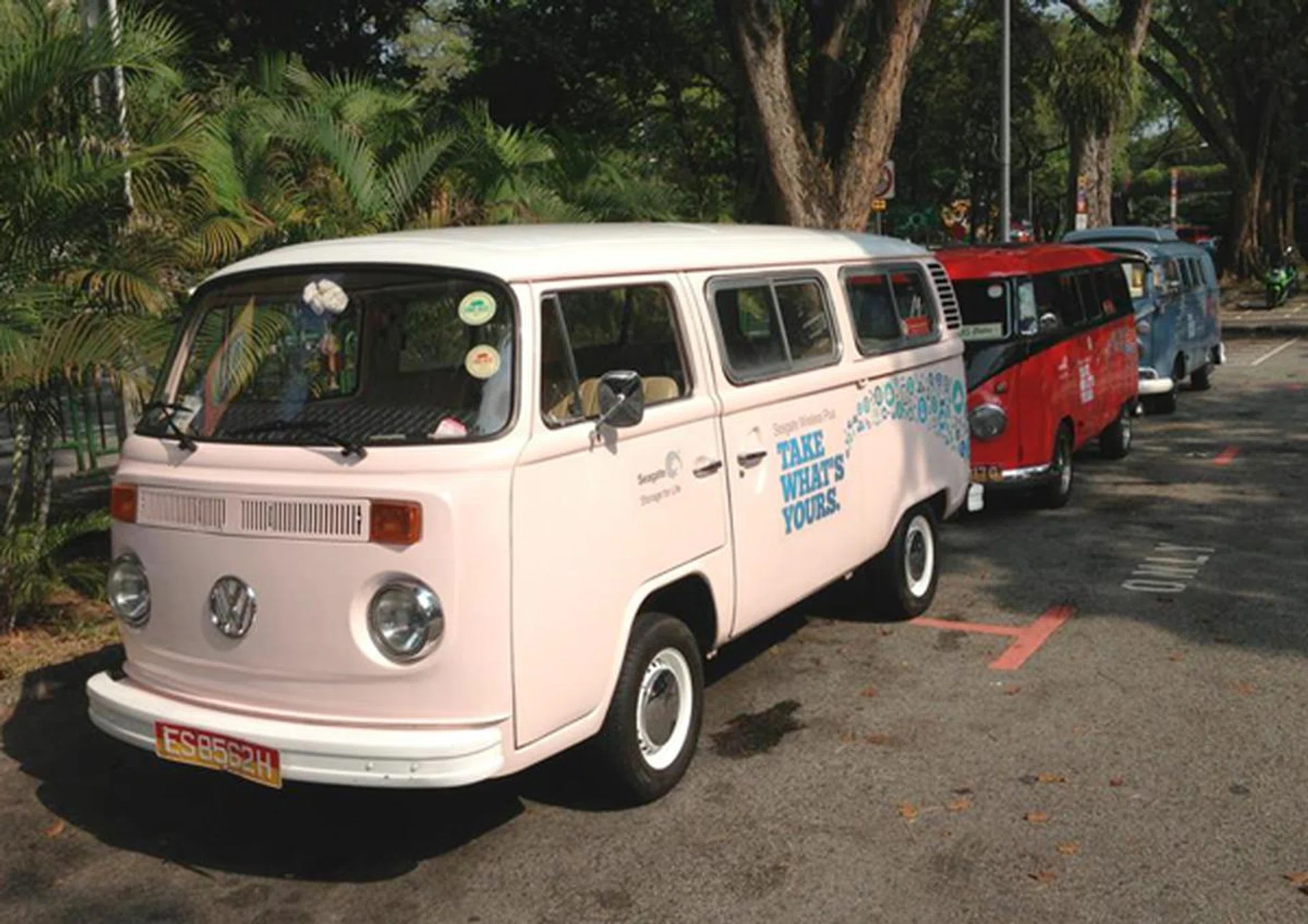 An unusual sight on our sunny island, brightly-colored Kombi vans awaited our members on a fine Saturday morning.