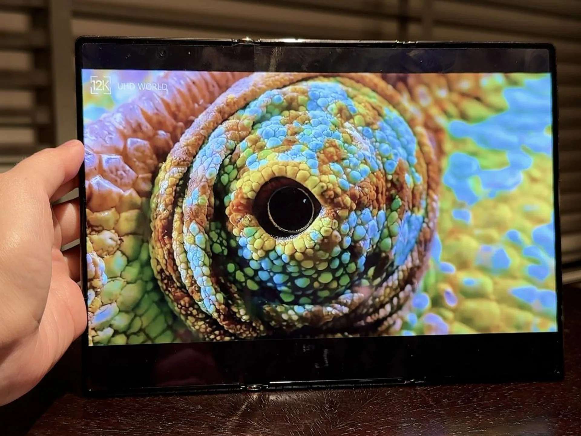 Colours are vibrant and punchy. Photo: HWZ.