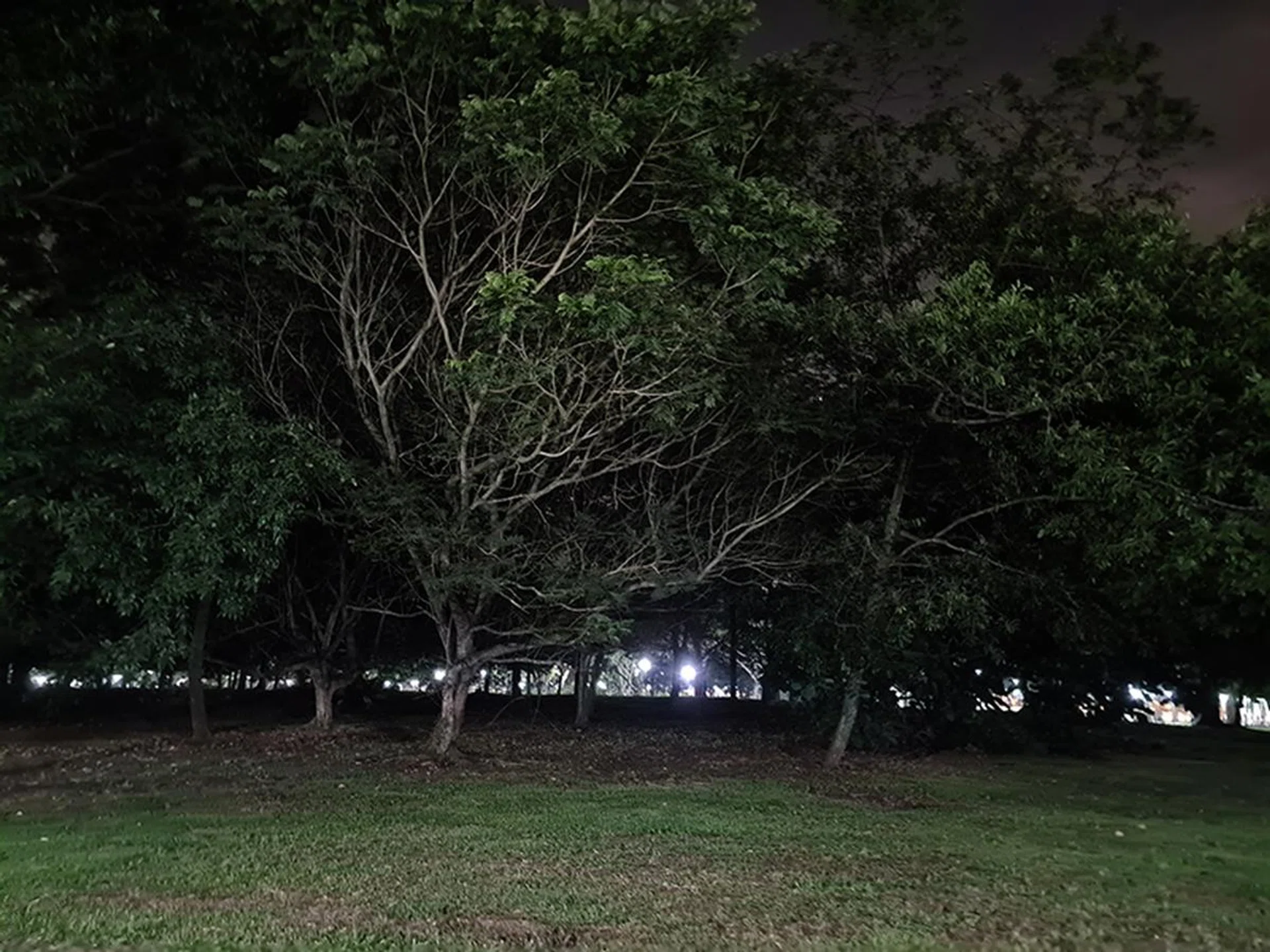 S20 Ultra Night mode off. (Click to view full-size image)