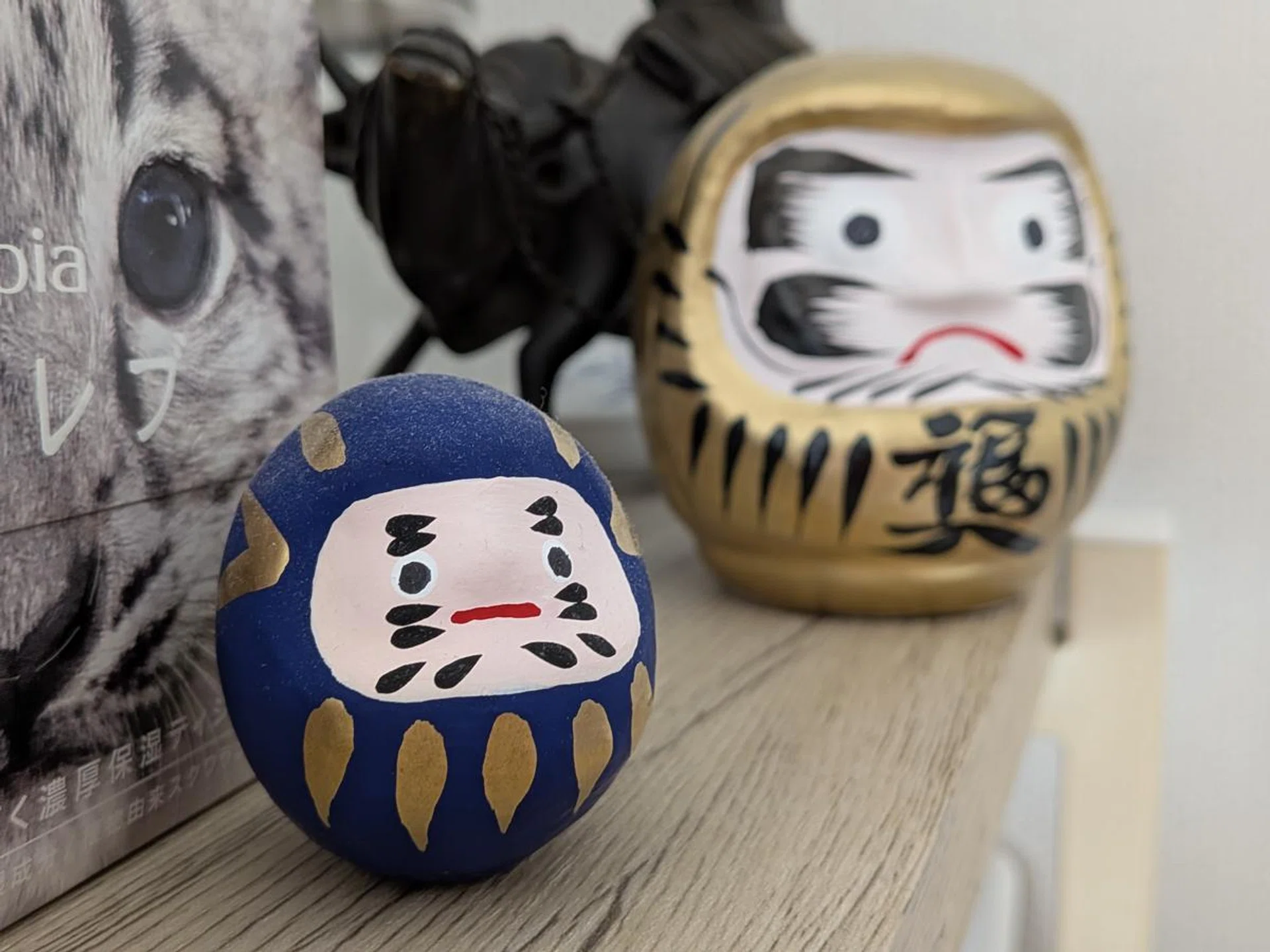 Main camera. Photo: HWZ.