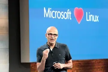 (Source: Microsoft)