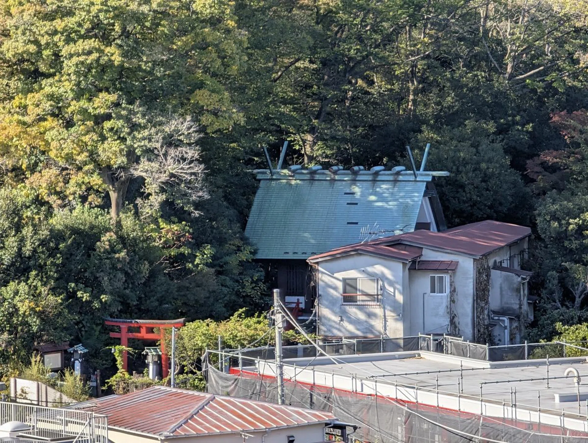 Google Pixel 9 Pro. Photo: HWZ.