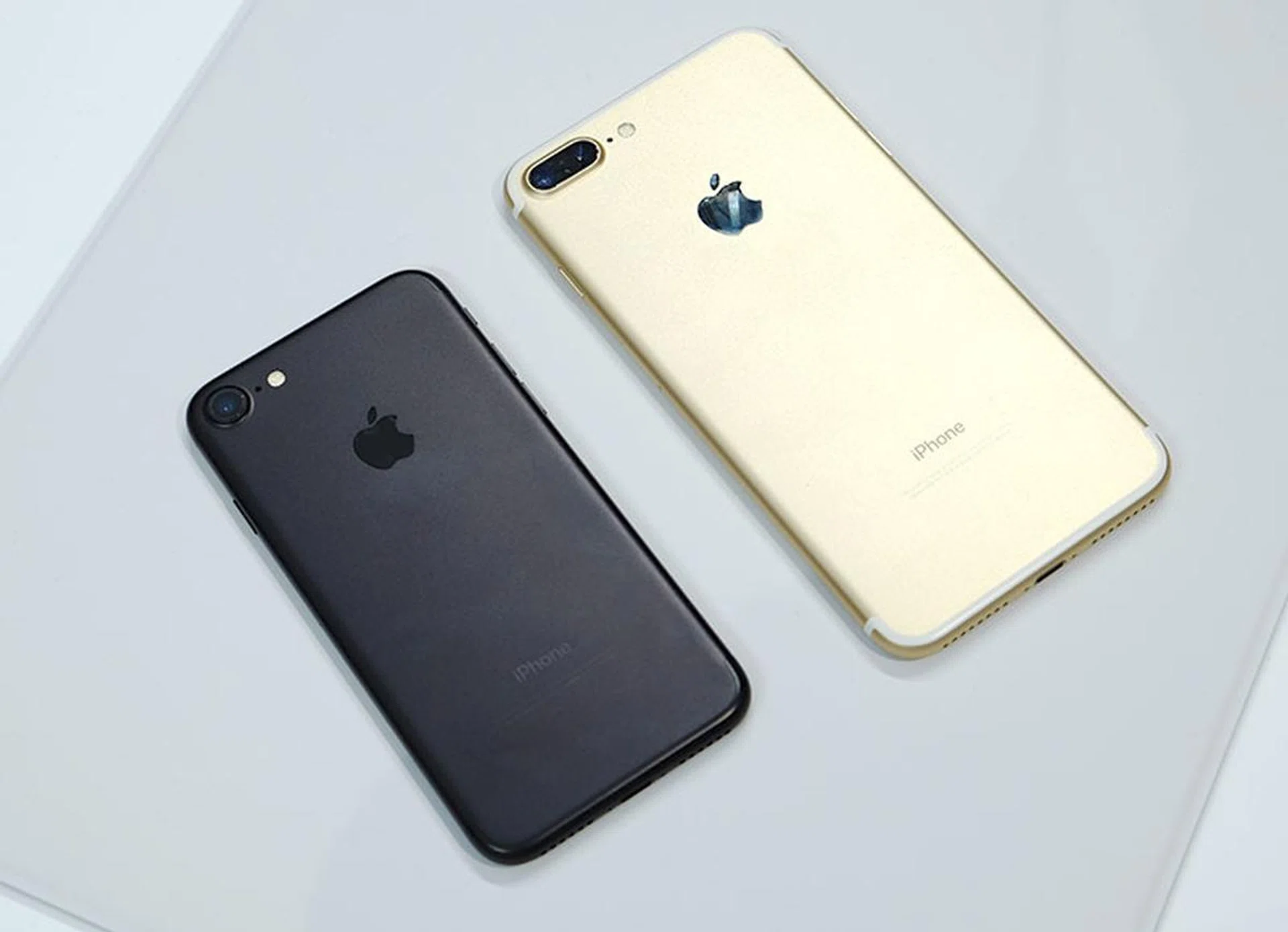 This is Black and Gold.