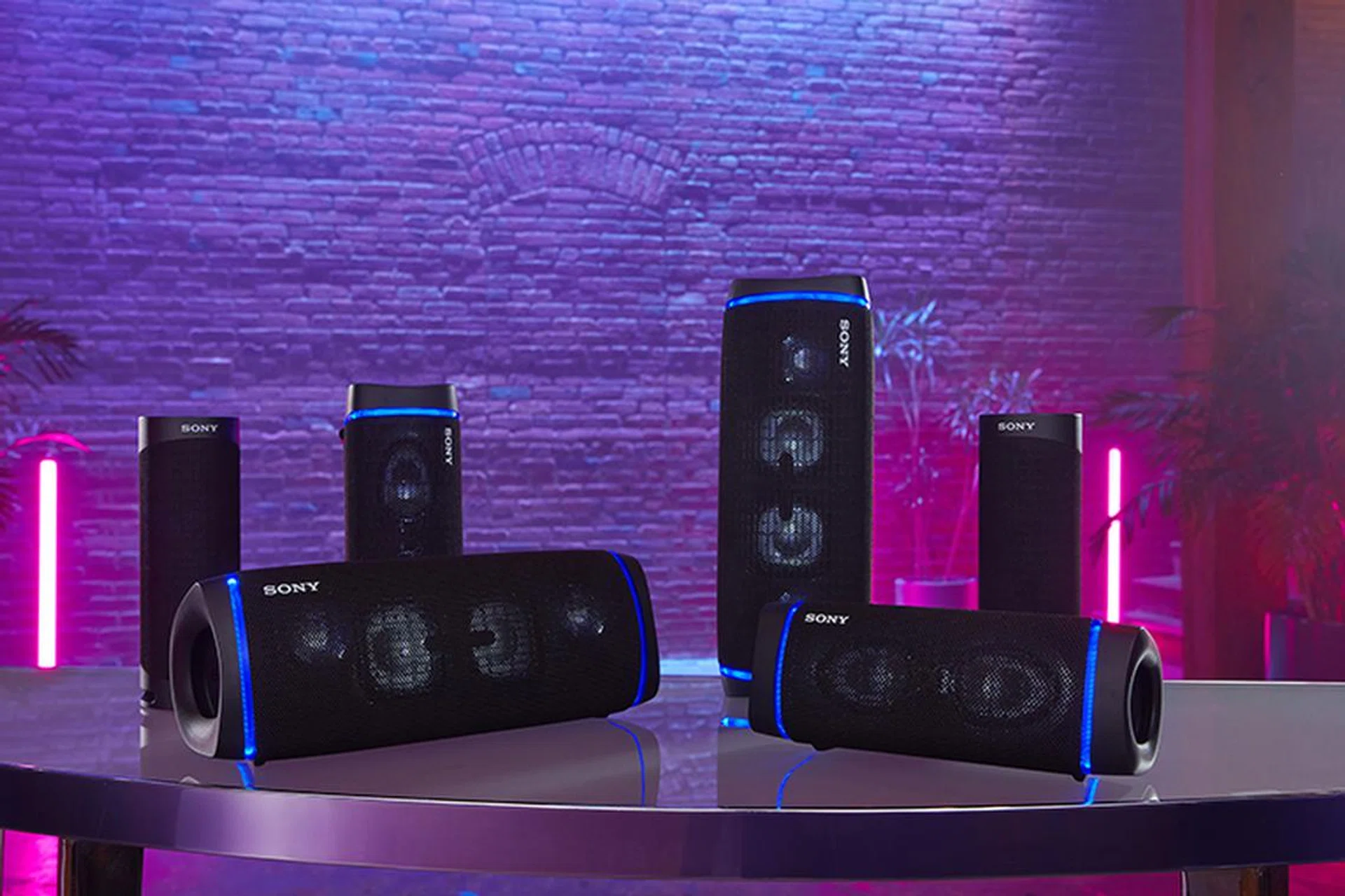 Entertainment outlets may be closed until further notice, but that doesn't mean you can't bring the club home.