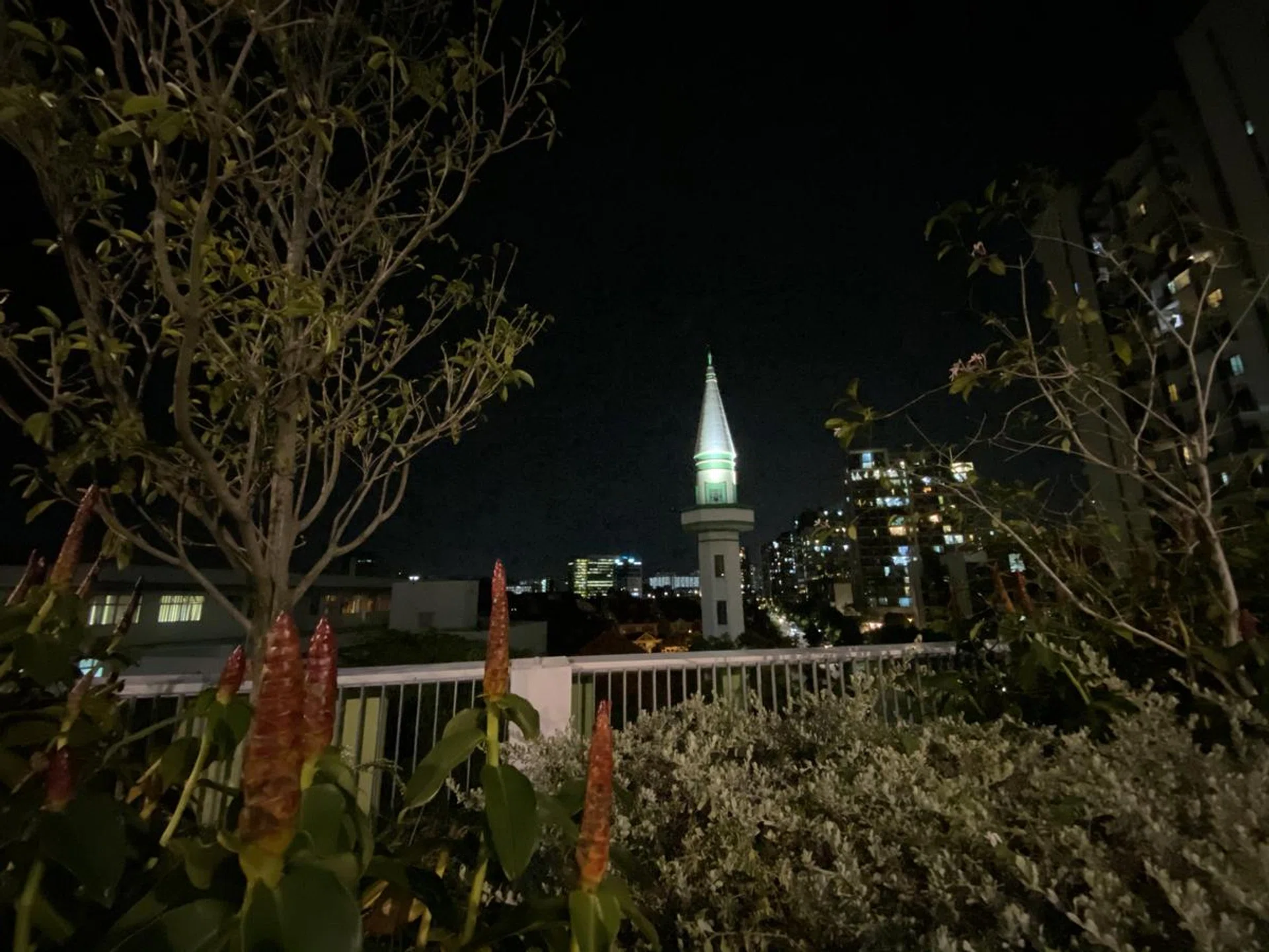 Shot with the iPhone 11 Pro Max's ultra wide camera in Night mode. Click to see full image.