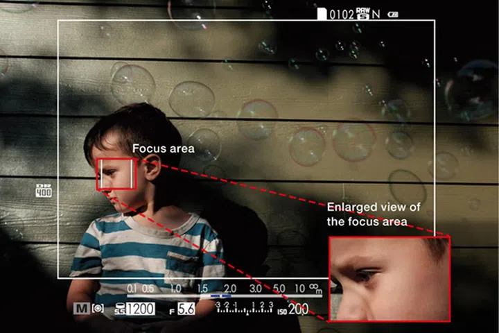 The EVF now has a darkened tab that acts as a second screen for focus preview.