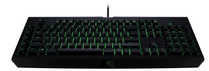 Razer's Blackwidow keyboard will be updated with Razer's new mechanical switches.
