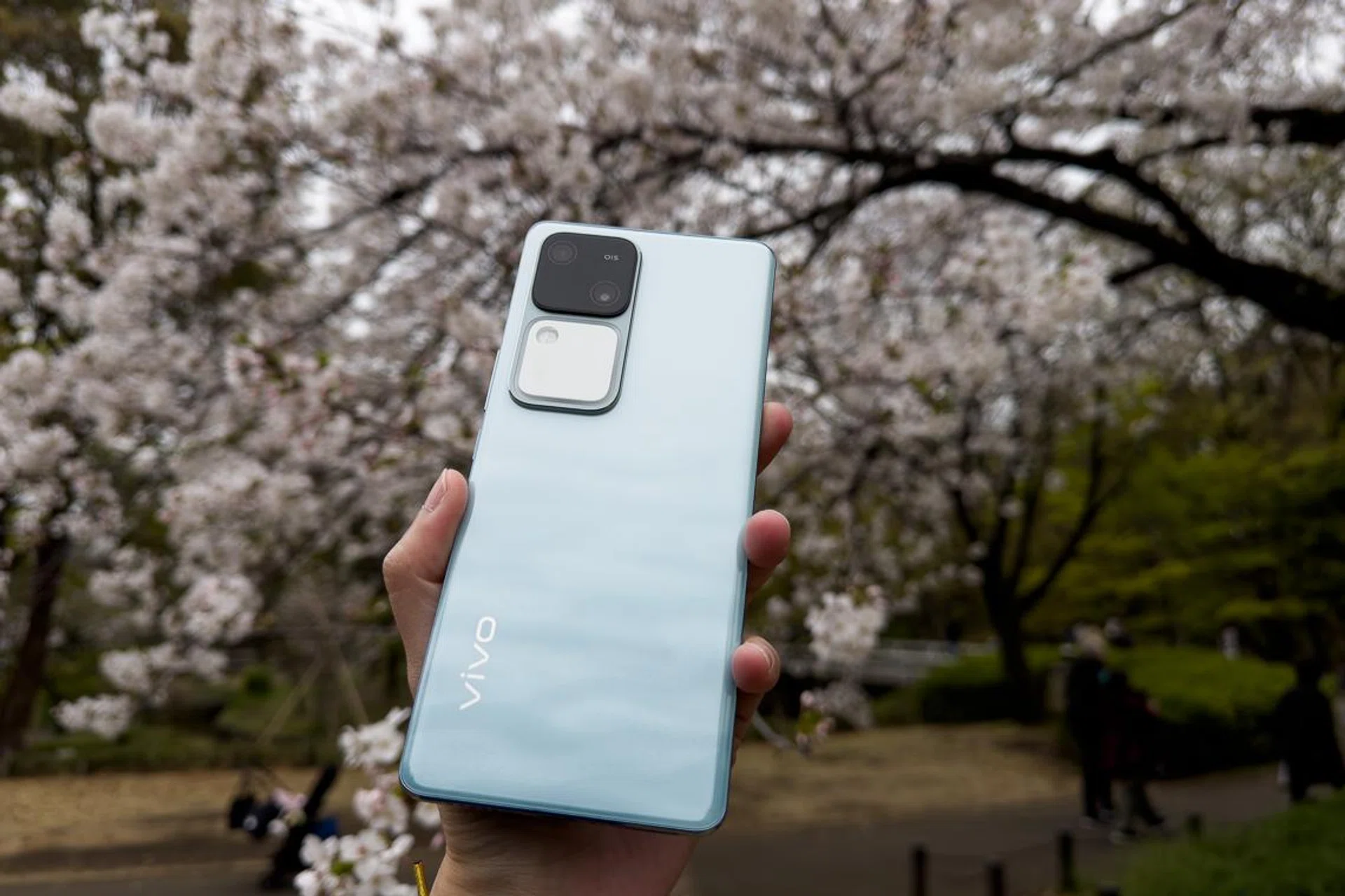 Vivo V30 under cherry blossoms.