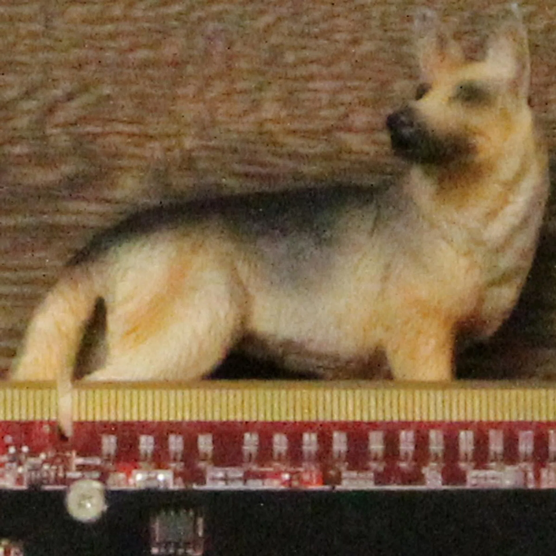 ISO6400, 100% crop of our test scene.