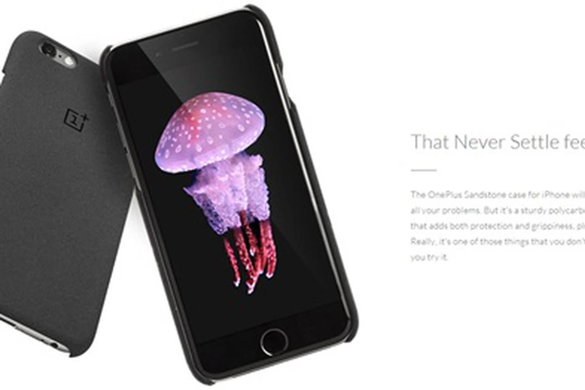 Image source: OnePlus