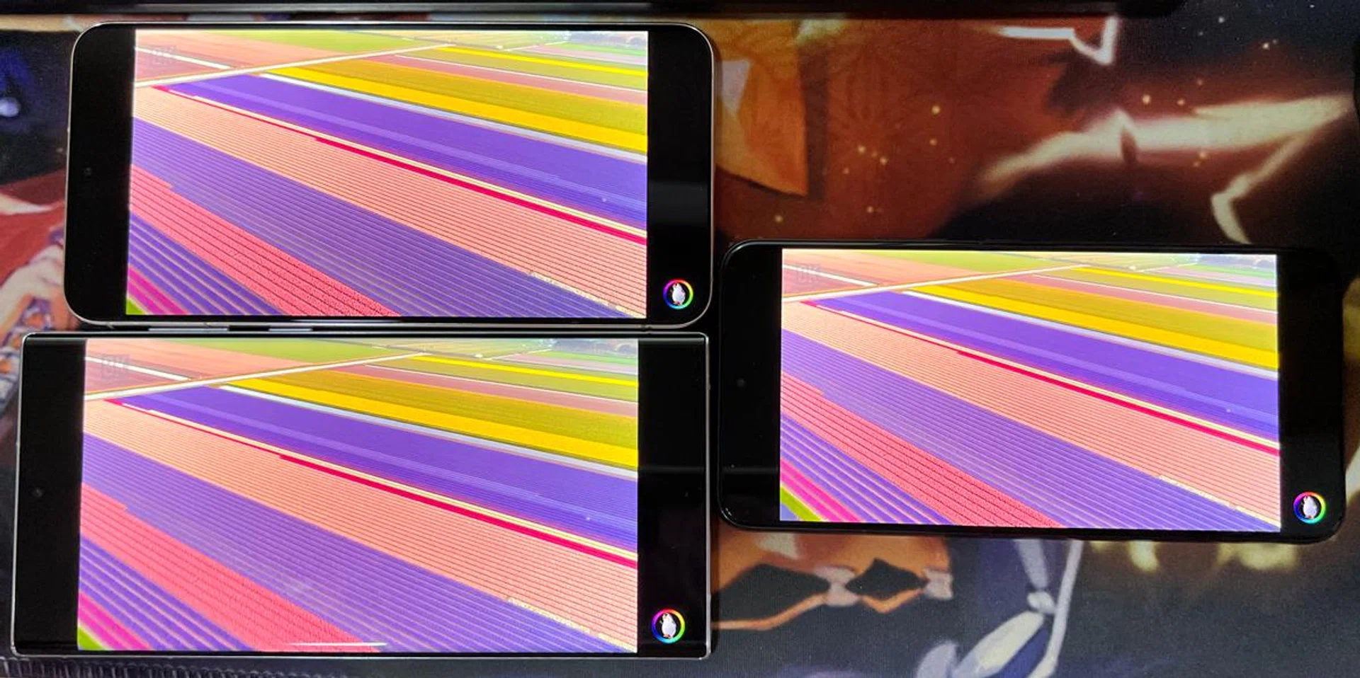 Samsung Galaxy S22+ (Left Top), Galaxy S22 Ultra (Left Bottom), Galaxy S22 (Right). Video clip is a 1440p60FPS HDR footage of a Netherlands flower field, viewed indoors.