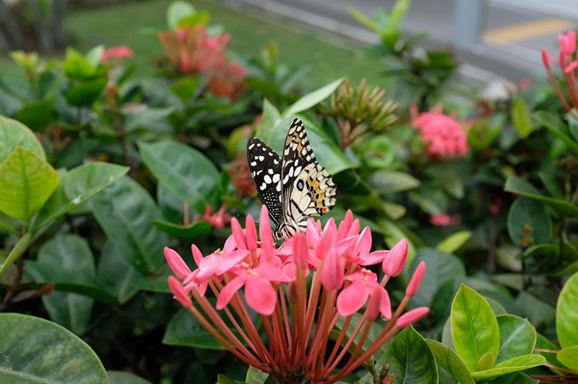 23mm at f/5.6, 1/150s, ISO200