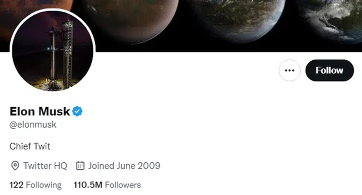 Elon Musk changed his Twitter profile description to "Chief Twit".