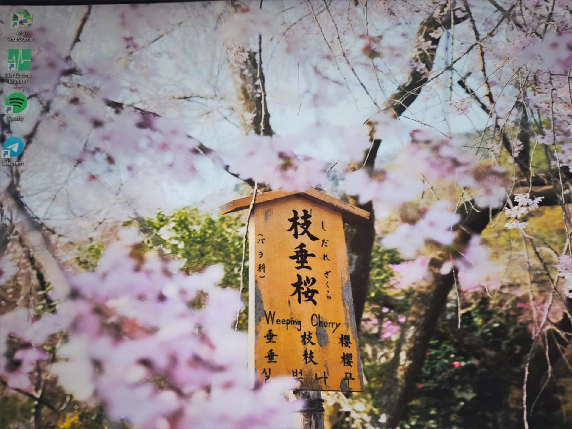 An example of what Galaxy Enhance X app can do: removing wavy display lines from your monitor or screen for a clearer photo.