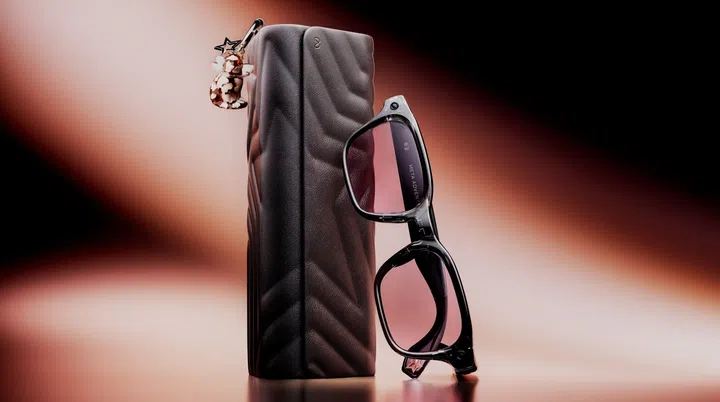 Lisa Edition Meta glasses pouch