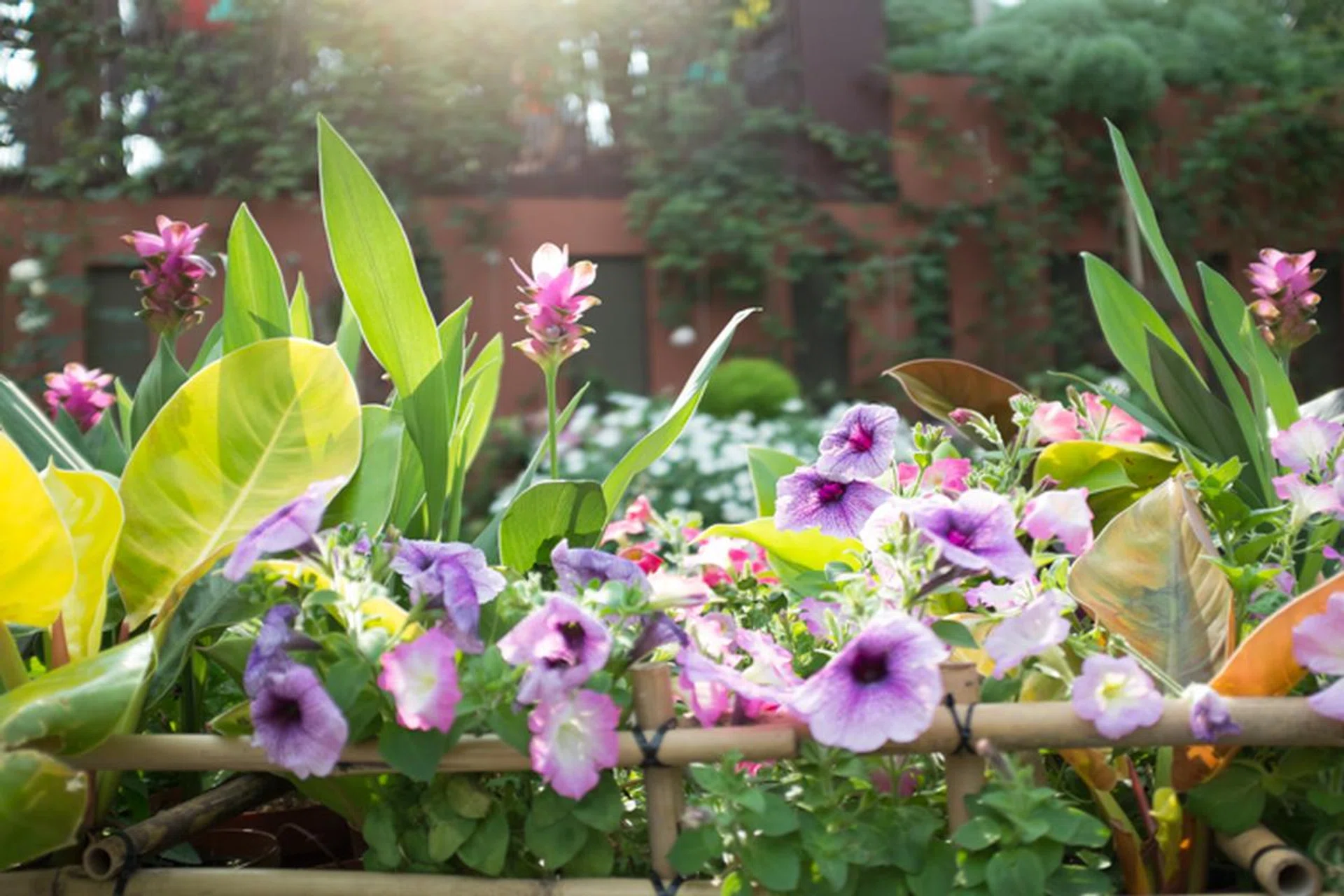 f/2 at 35mm, 1/1000 sec, ISO 400.