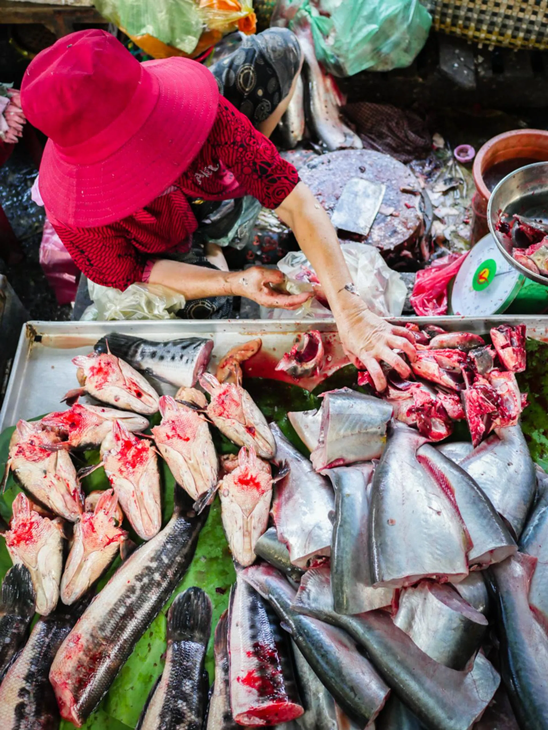 f/2 at 30mm, 1/160 sec, ISO 1600.